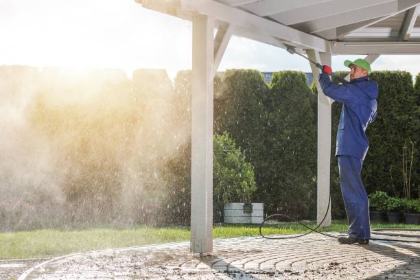 Best Roof Washing  in Speedway, IN